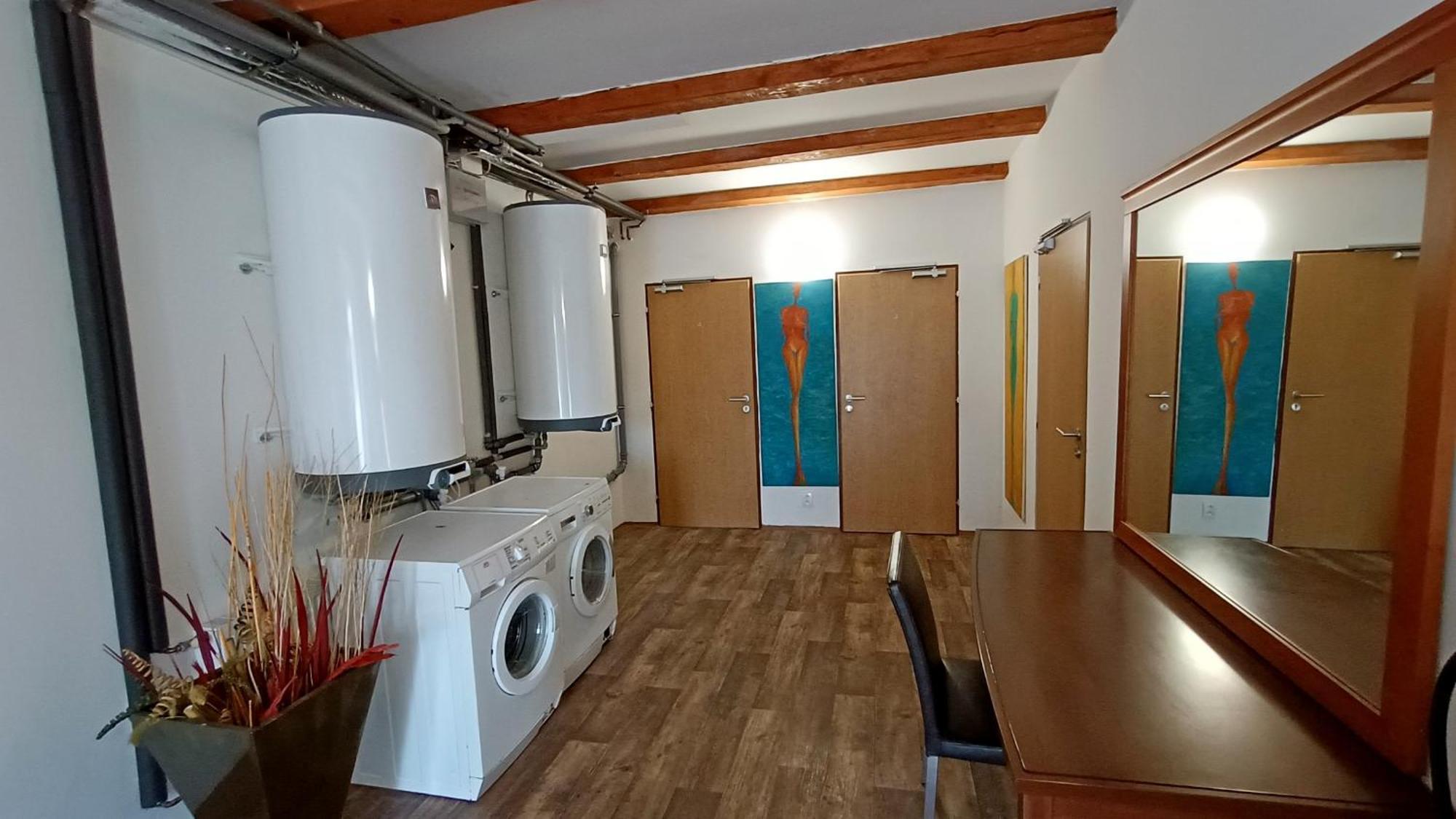 Apartments Gato Karlovy Vary Dalovice Экстерьер фото