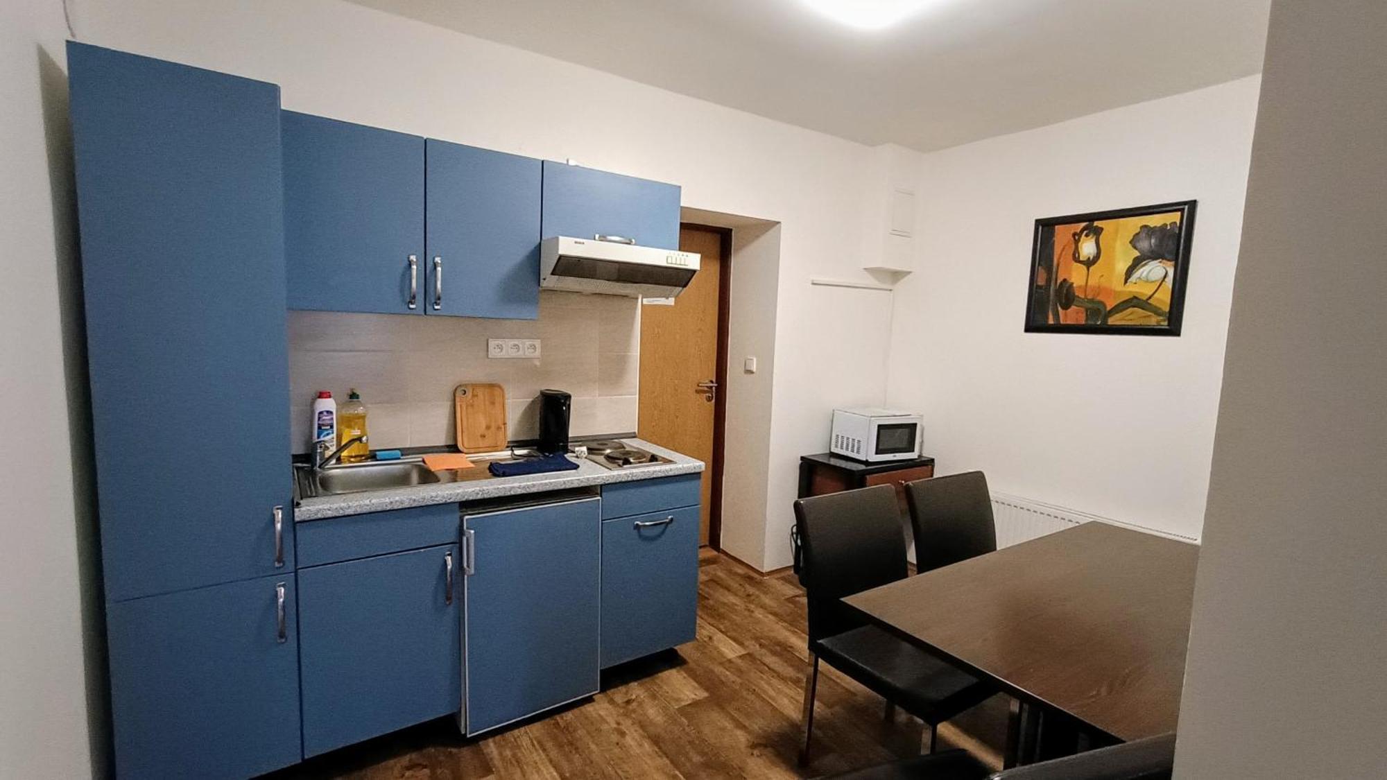 Apartments Gato Karlovy Vary Dalovice Экстерьер фото